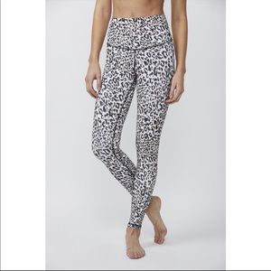 DYI Leopard Signature Tight S